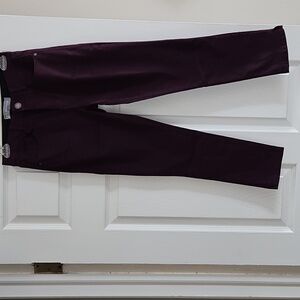 NWOT Wit & Wisdom Ab Solution High Waist Skinny Pants 0P